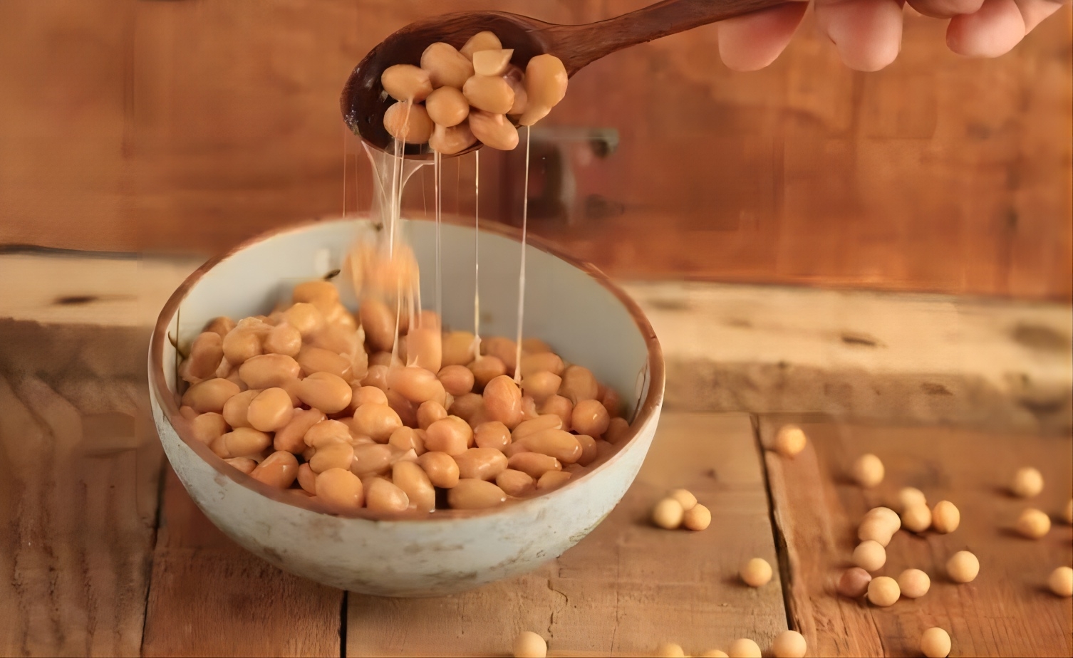 让日本人震惊的纳豆激酶，血液的清道夫到底有多神奇？